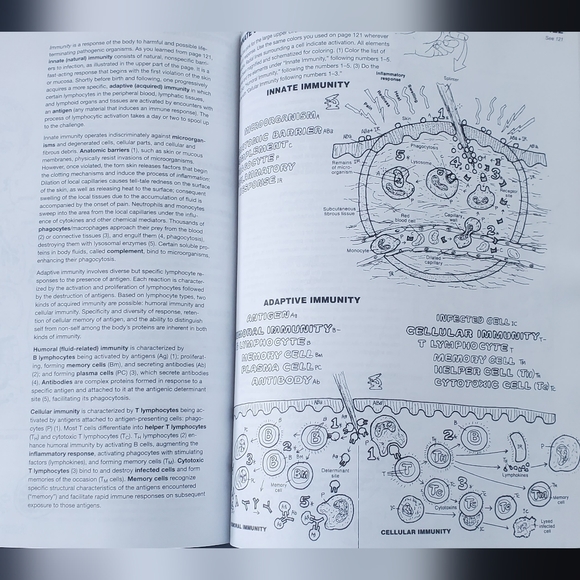 The Anatomy Colorong Book - Picture 4 of 5